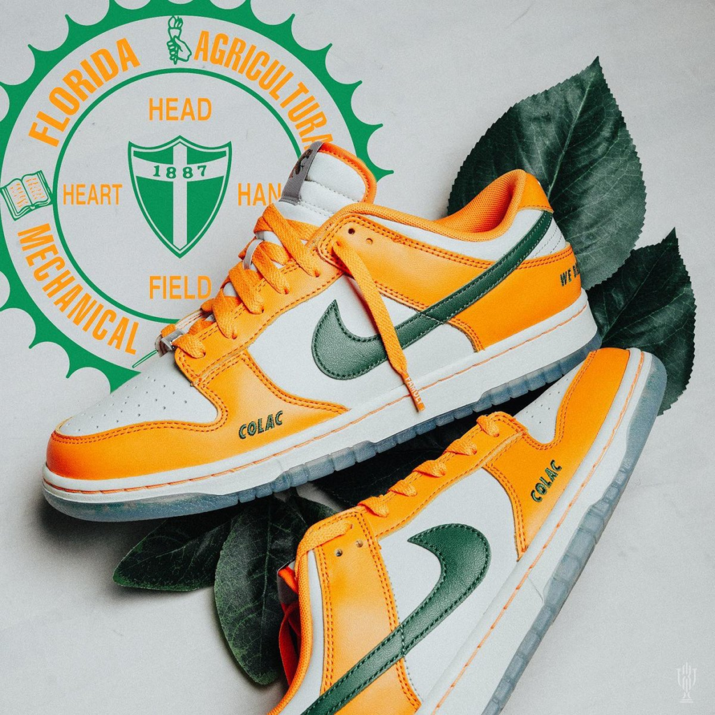 HBCU x Nike Dunk Low “Florida A&M”