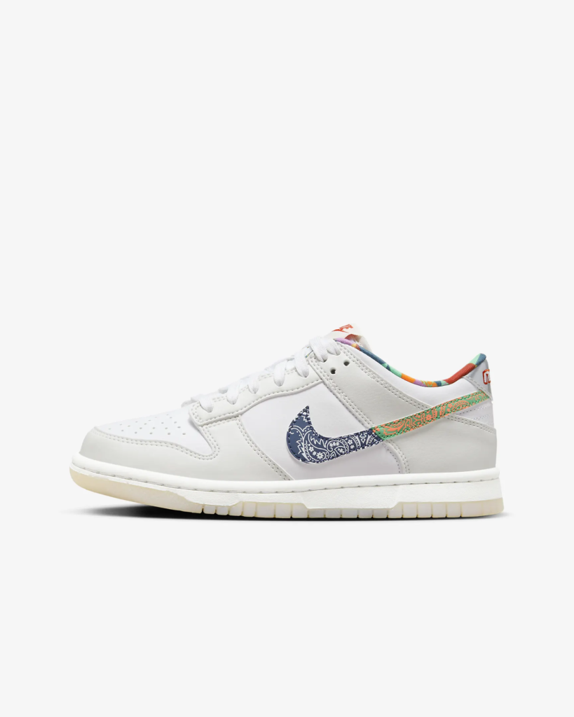 GS Nike Dunk Low ‘Multi- Paisley’