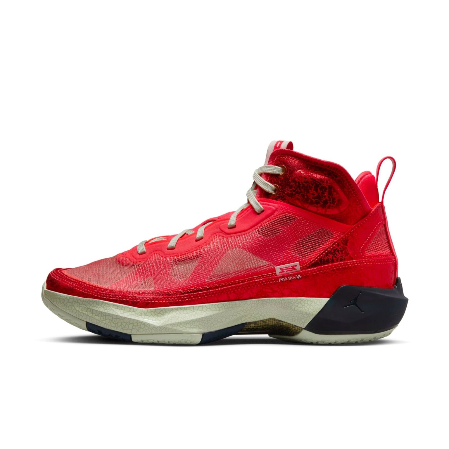 hachimura jordans