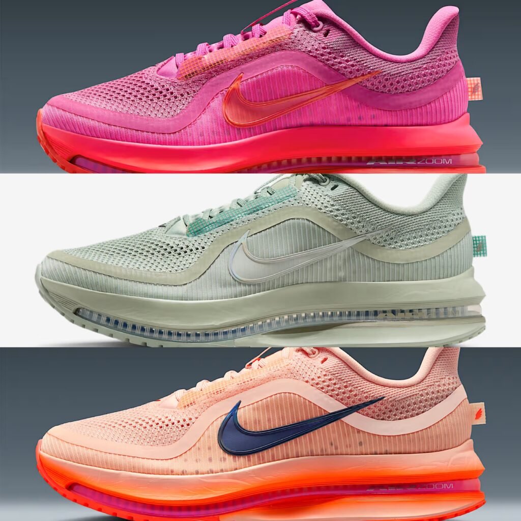 Nike Pegasus Premium Collection