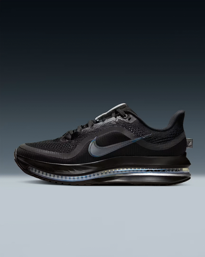 Women’s Nike Pegasus Premium ‘Black / Silver’